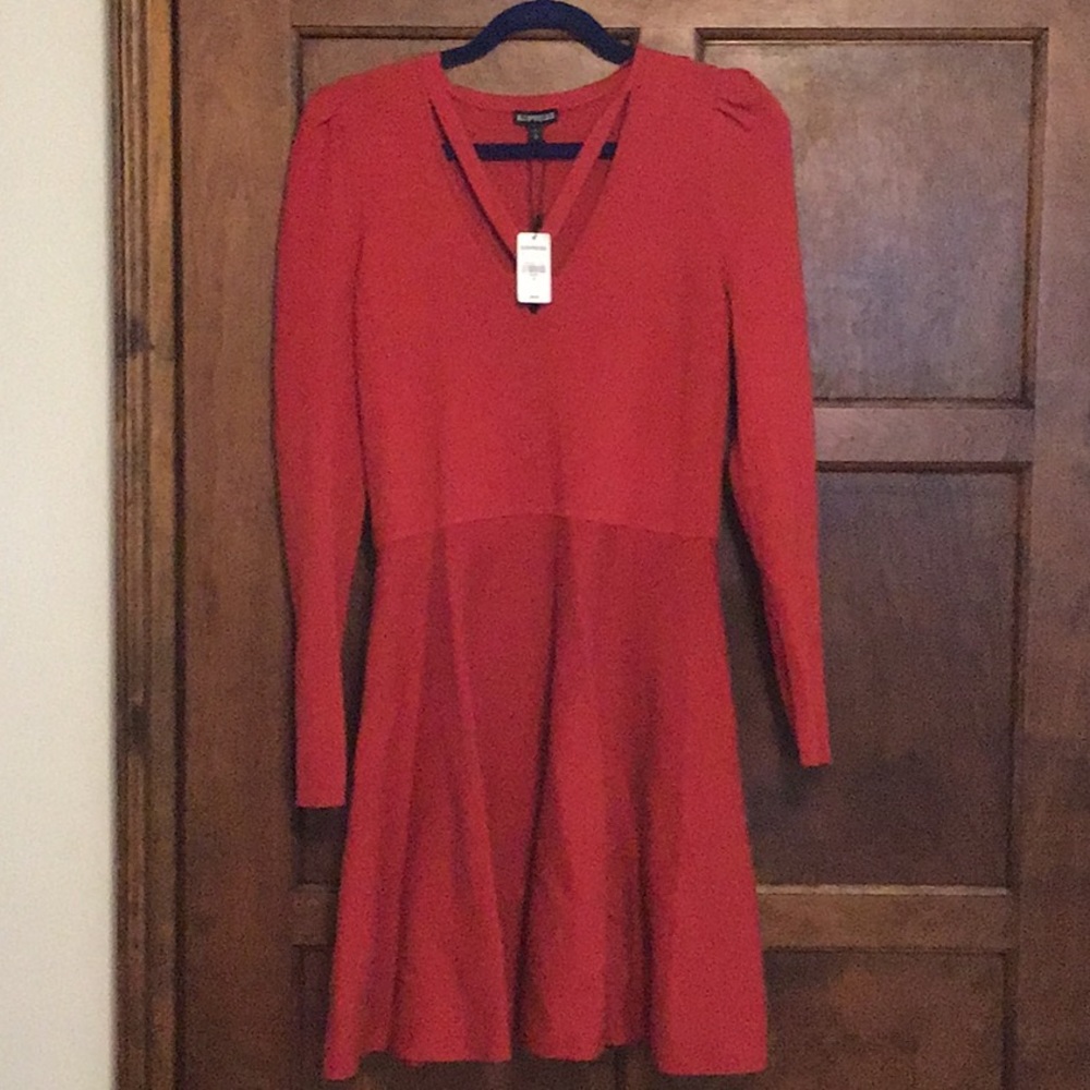 NWT Express dress